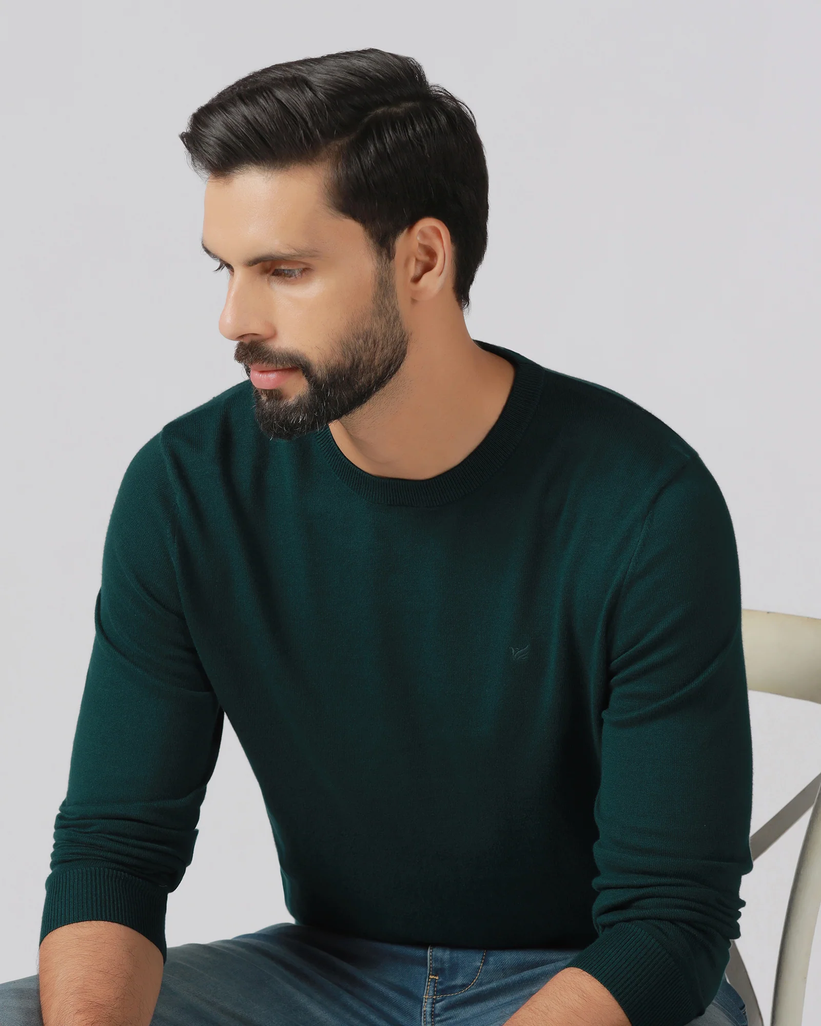 Beetle Crew Neck Solid Sweater - Mario - Image 5