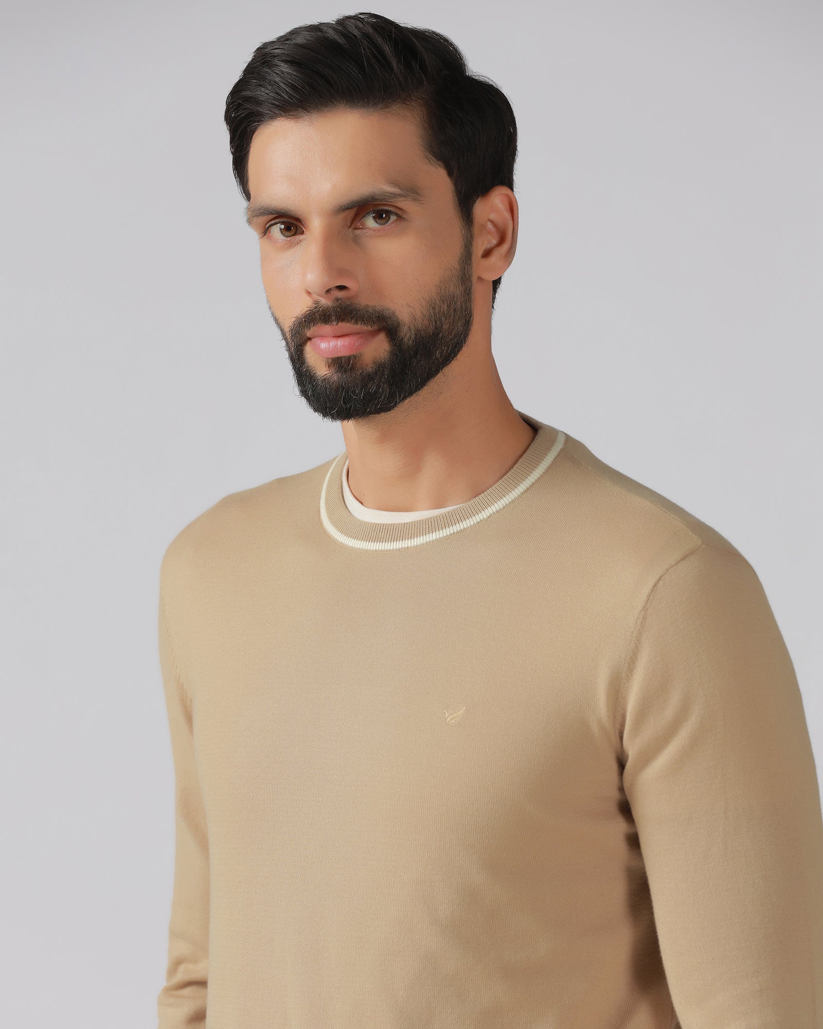 Beige Crew Neck Solid T-Shirt - Timber - Image 4